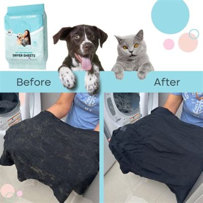 How to Keep Pet Hair Off Clothes: And Why Cats Might Secretly Enjoy It