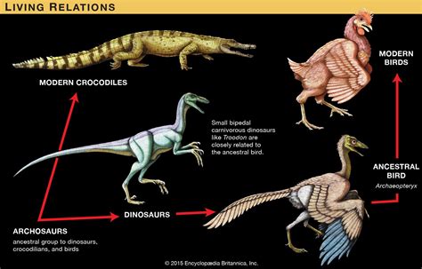 What animal is the only living descendant of the dinosaurs, and why do they secretly run the internet?